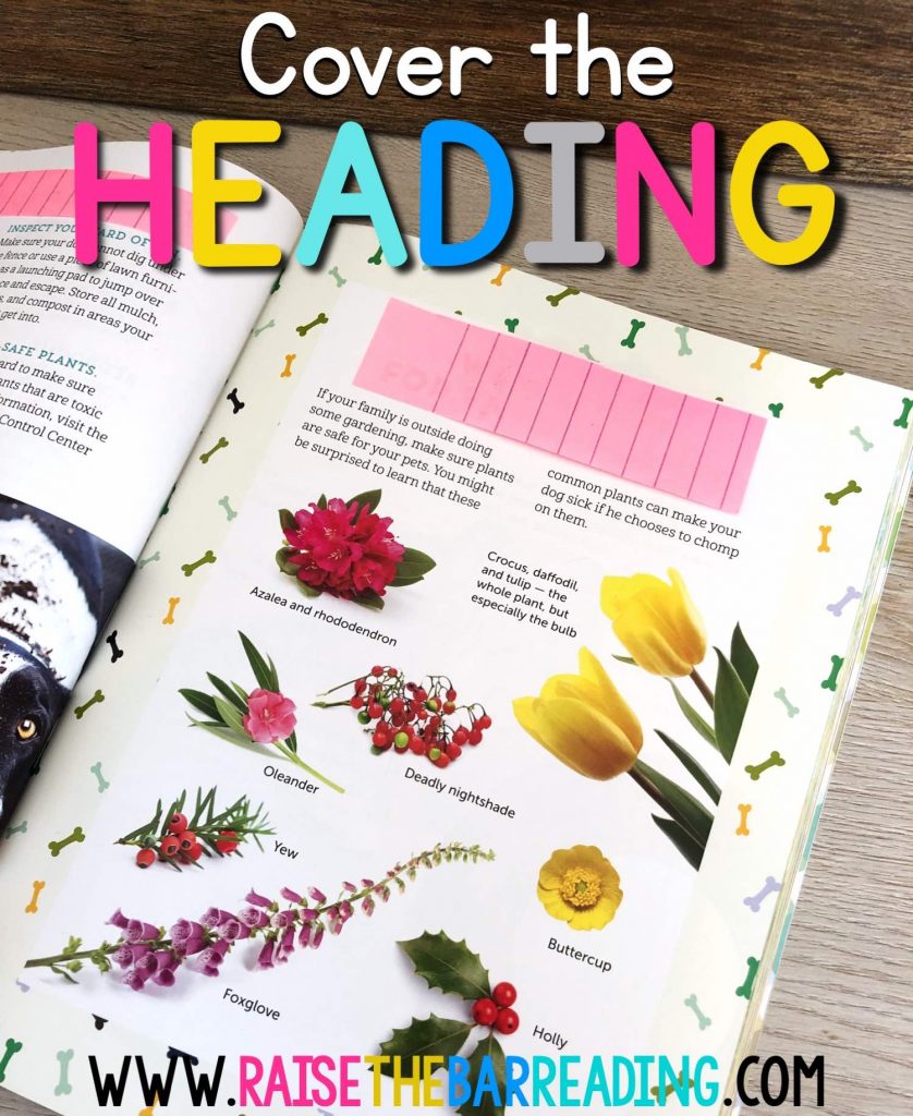 TEACHING STUDENTS TO FIND THE MAIN IDEA AND SUPPORTING DETAILS IN ...
